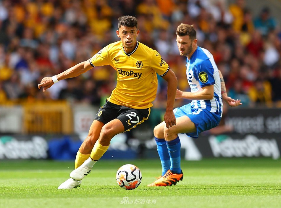 作为特殊的 作为特殊的